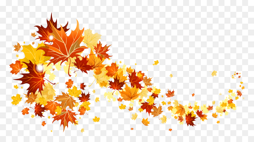 Transparent Leaves - Transparent Background Fall Leaves Transparent, HD Png Download - fall leaves and pumpkins border png