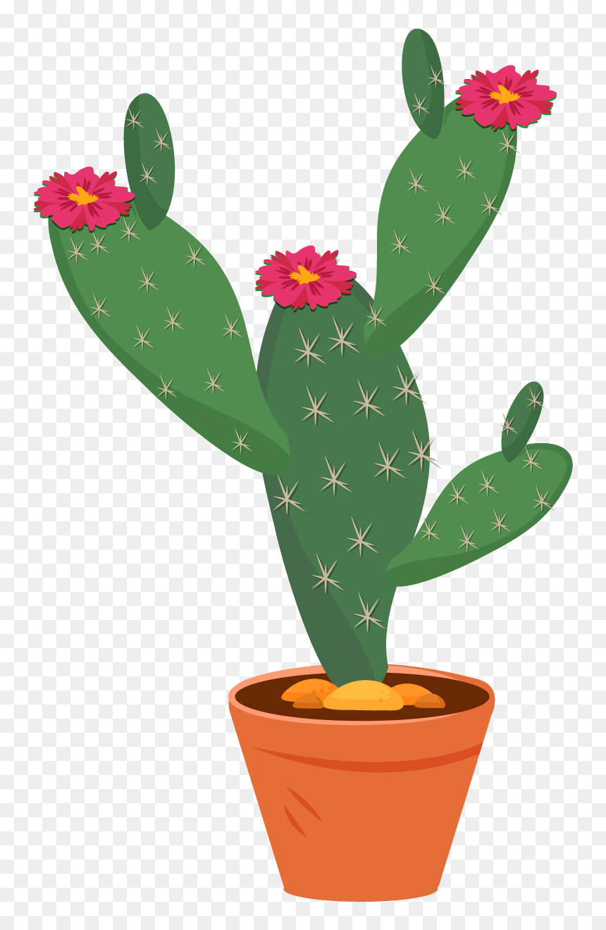 Weberocereus, HD Png Download - cacti png