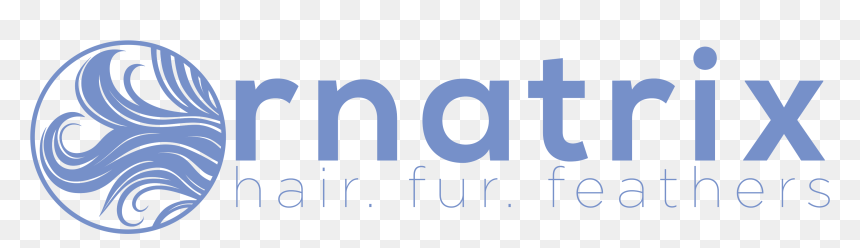 Graphic Design, HD Png Download - 3ds max logo png