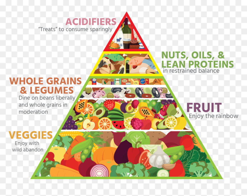 Bailey"s Food Pyramid - Alkaline Food Pyramid, HD Png Download - food pyramid png