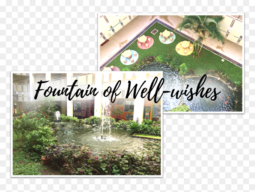 Fountain - Backyard, HD Png Download - fountain grass png