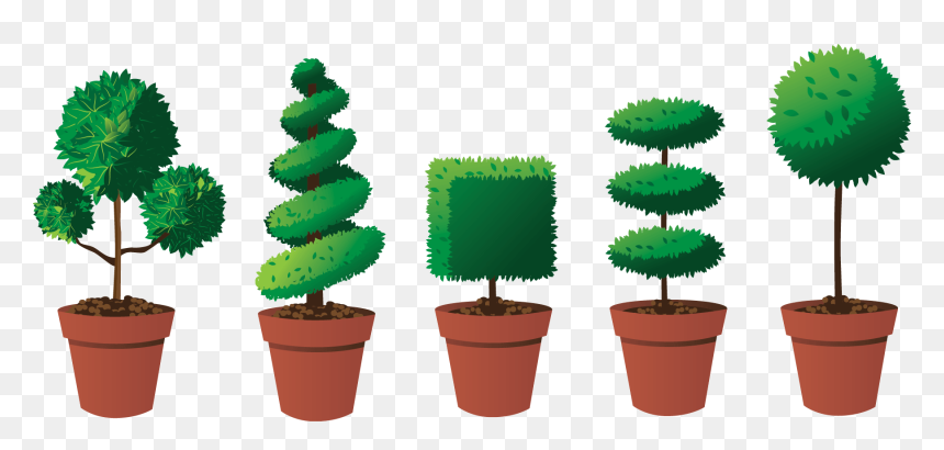 Transparent Evergreen Trees Png - Topiary Trees, Png Download - topiary png