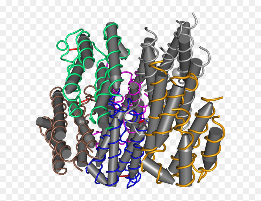 1rh2 Recombinant Human Interferon Alpha 2b 01 - Interferon Alpha 2 B, HD Png Download - 2b png