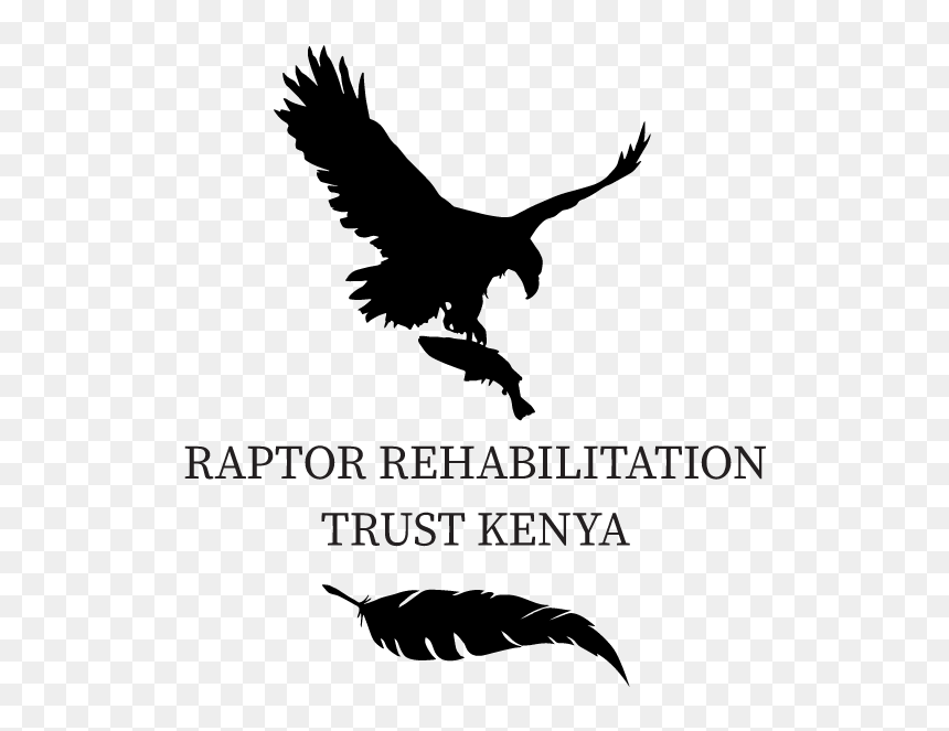Raptor Rehabilitation Trust Kenya - Raptor Bird Of Prey Logos, HD Png Download - raptors logo png