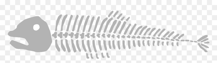 Fish Bomes Transparent Background, HD Png Download - dead fish png