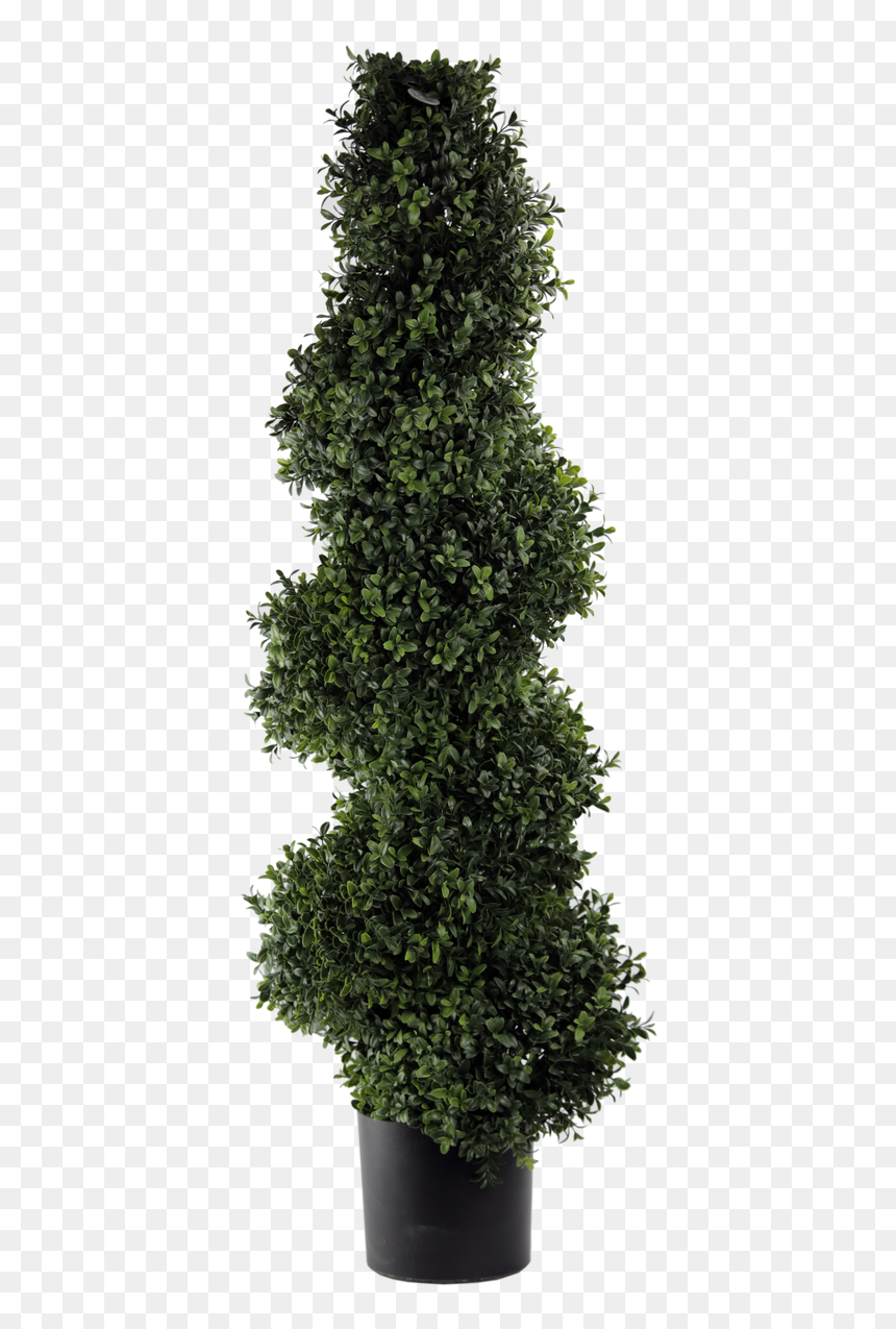 45, HD Png Download - topiary png