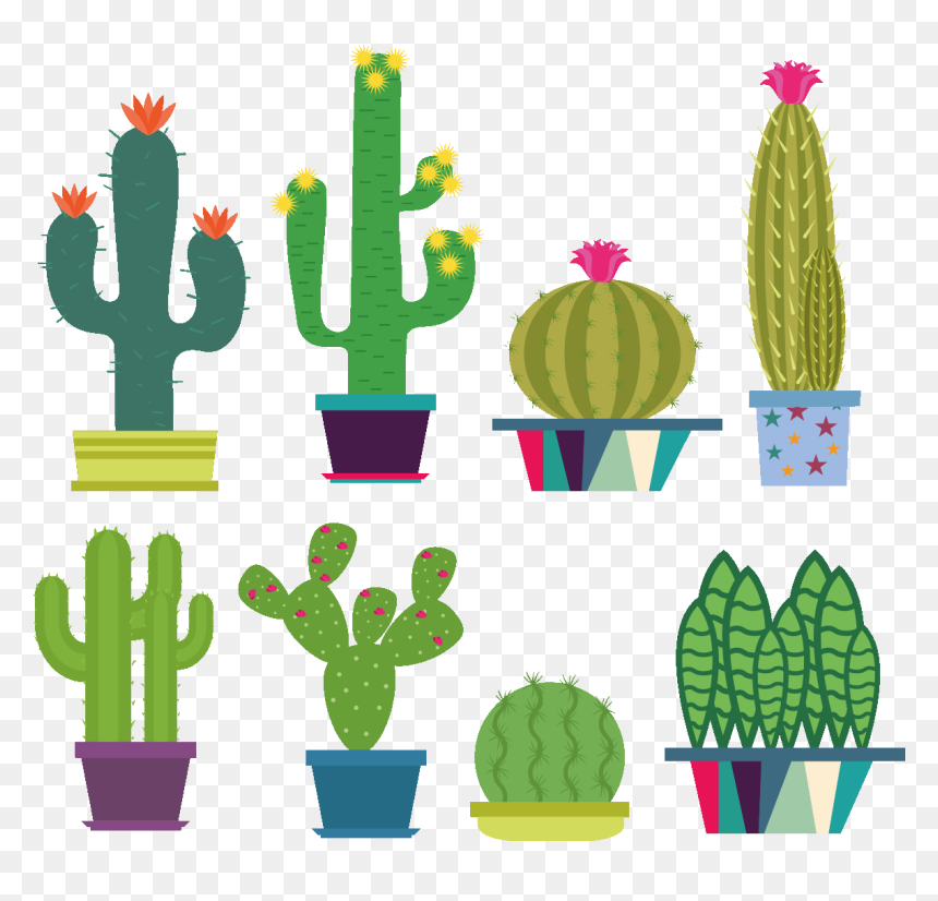 Cactus Fleuris, HD Png Download - cacti png