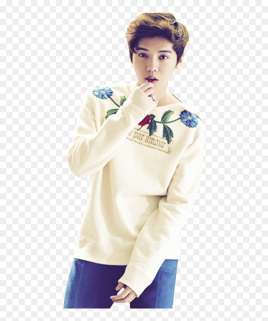 #exo Luhan #luhan #луханя #k-pop #k Pop #kpop #лухан - Luhan, HD Png Download - luhan png