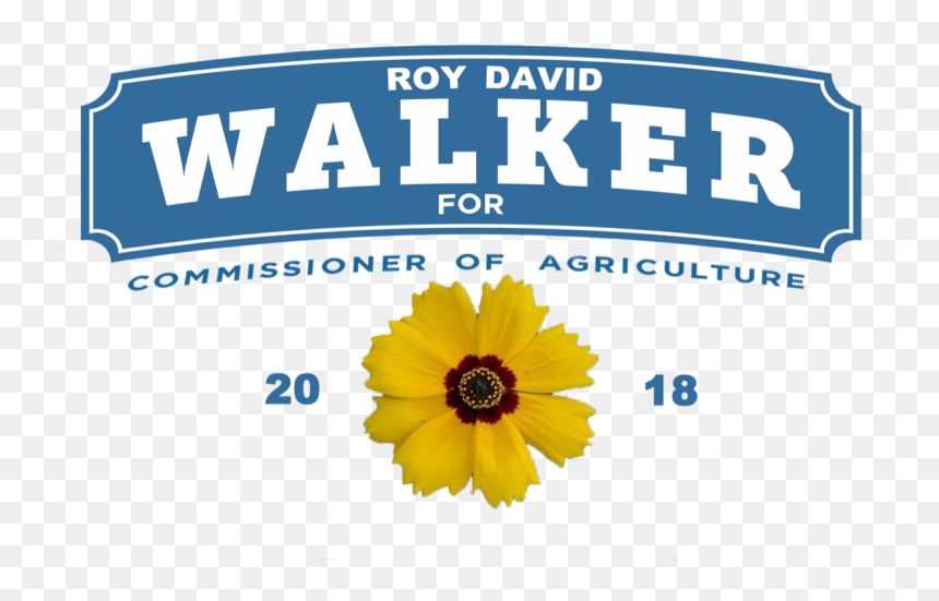Sunflower , Png Download - Sunflower, Transparent Png - sunflower border png