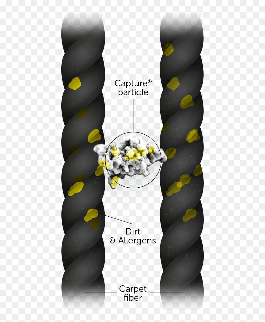 Architecture, HD Png Download - dirt particles png
