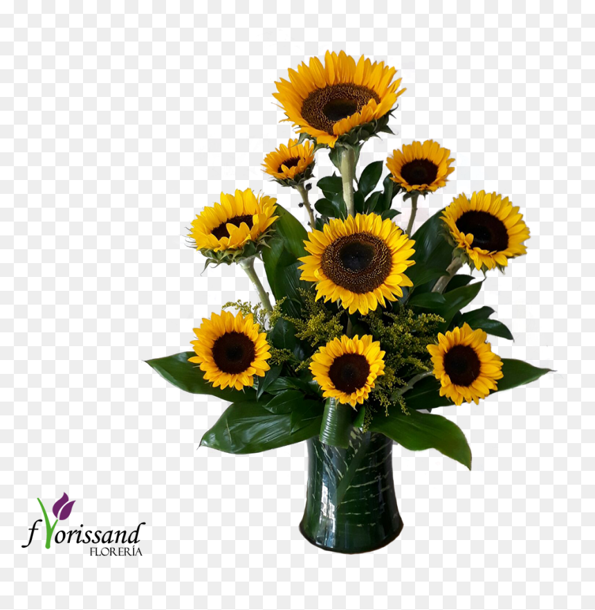 Jarron Cristal Forrado En Hojas Verdes - Sunflower, HD Png Download - sunflower border png