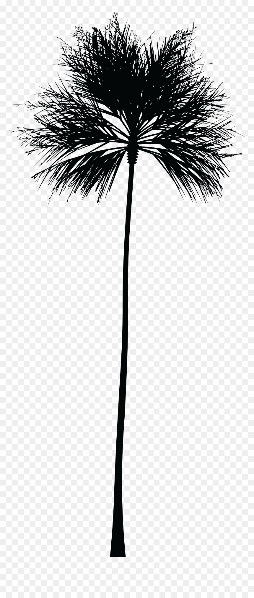 This Free Icons Png Design Of Palm Tree Silhouette - Do A Palm Tree Silhouette, Transparent Png - tree graphic png