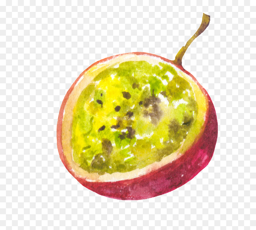 Hand Painted Cut Passion Fruit Png Transparent - Portable Network Graphics, Png Download - passion fruit png