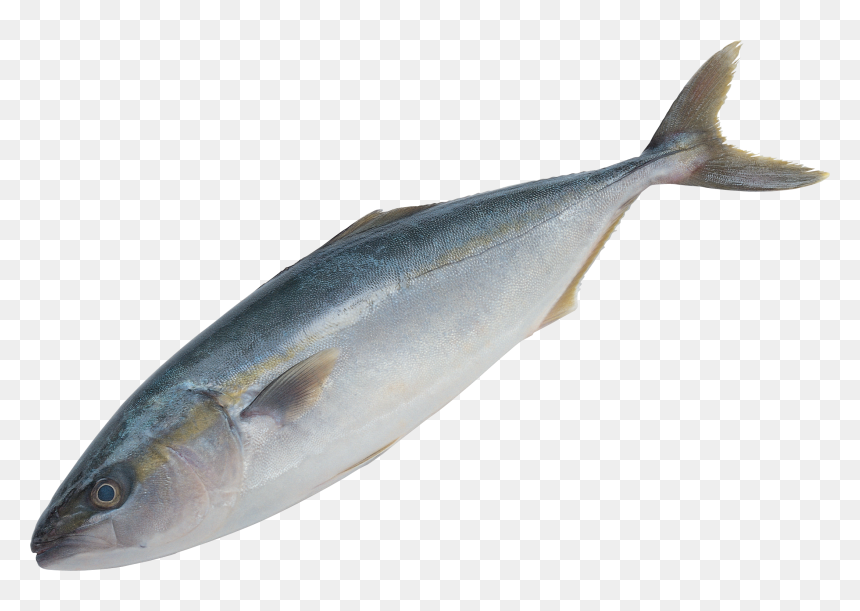 Grab And Download Fish Png Icon - Small Fish Transparent Background, Png Download - fish icon png
