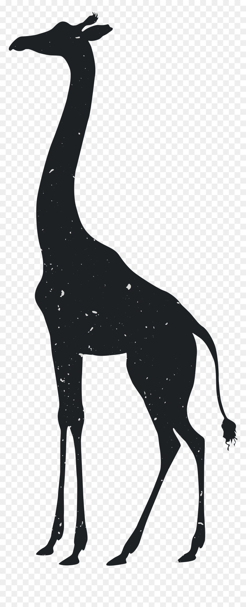Giraffe Tiger Silhouette Animal Drawing - Silhouette Png Giraffe, Transparent Png - tiger silhouette png