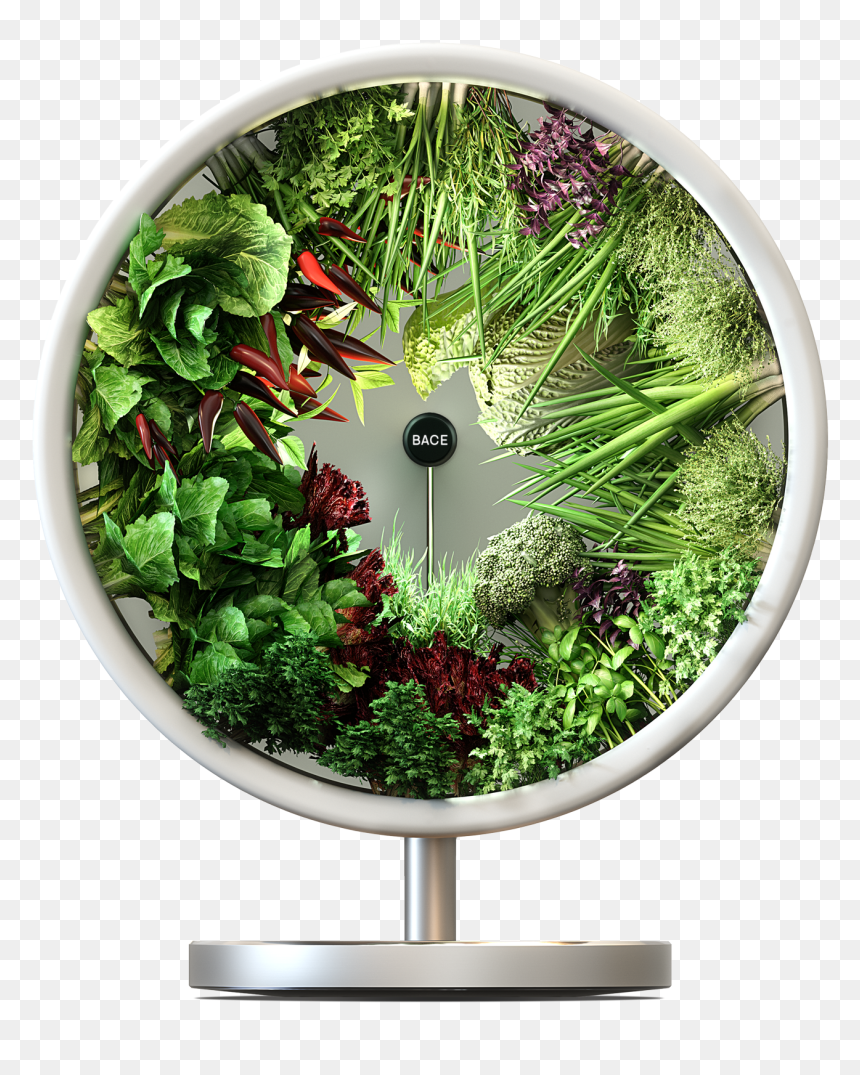 Circle Herb Indoor Garden, HD Png Download - fountain grass png