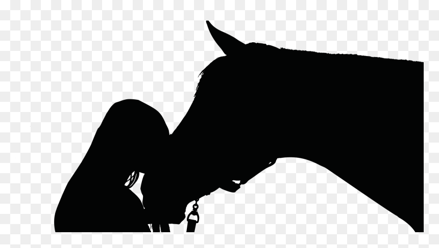 Girl Riding Horse Silhouette, HD Png Download - white feathers png