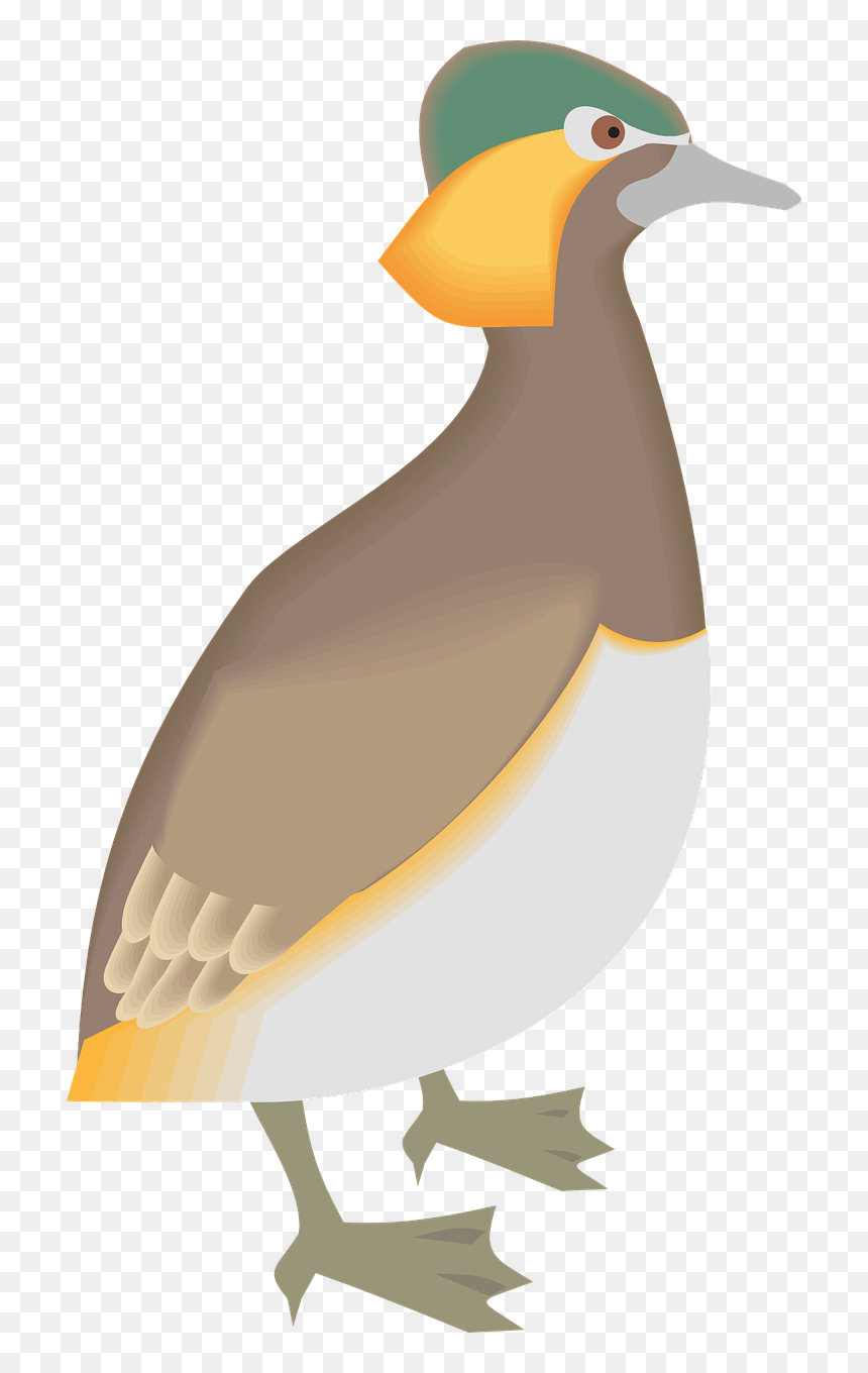 Animals, HD Png Download - beak png
