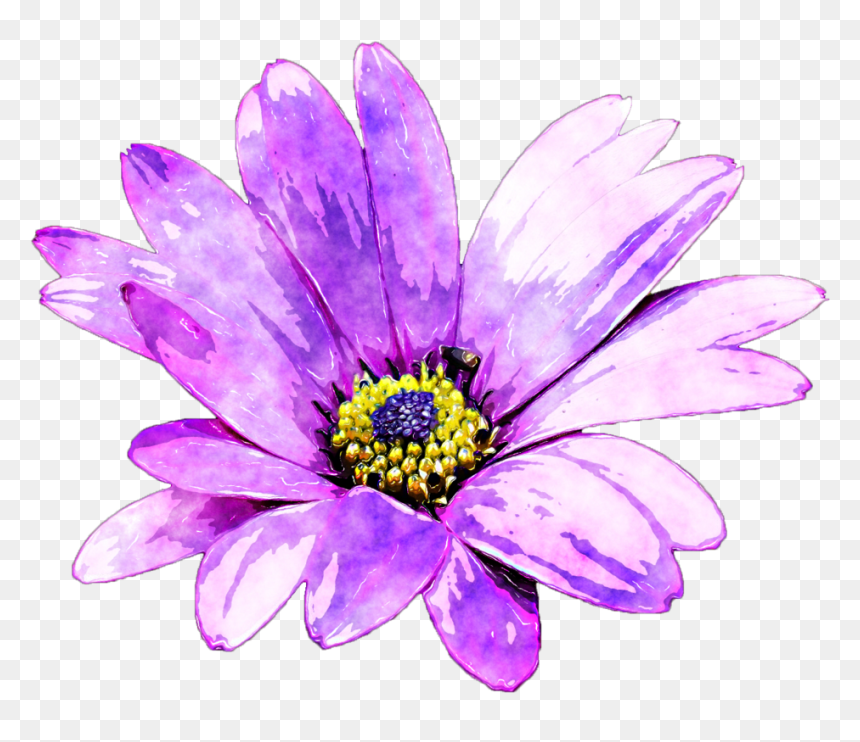 Watercolour Flower Png Image Free Stock - Purple Flowers Watercolor Png, Transparent Png - daisy flower png