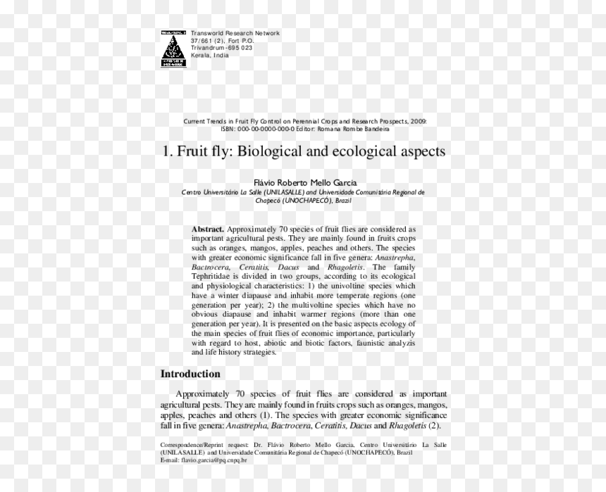 Document, HD Png Download - bandeira eua png