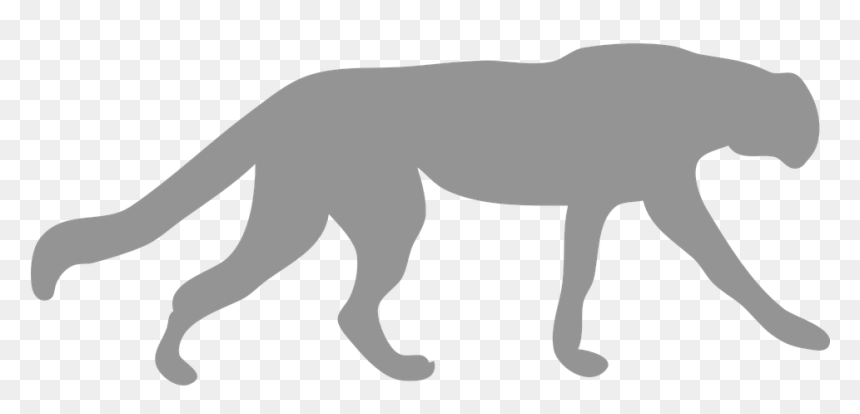 Cheetah Silhouette, HD Png Download - wildcat png