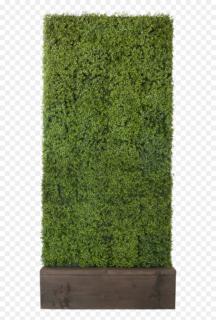 Boxwood Hedge Shrubs Artificial Png - Hedge, Transparent Png - topiary png