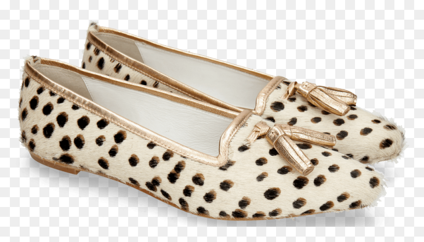 Loafers Alexa 17 Hairon Wildcat Tassel Talca Rose - Ballet Flat, HD Png Download - wildcat png