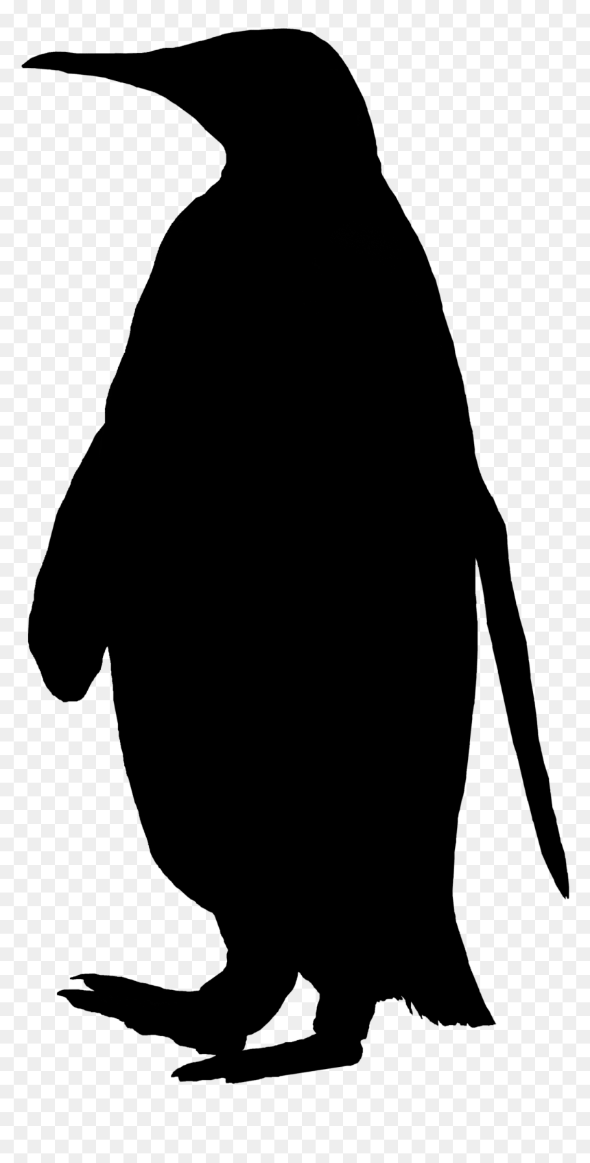 Penguin Clip Art Fauna Silhouette Beak - Transparent Penguin Silhouette, HD Png Download - beak png