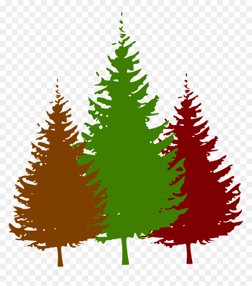 Pine Tree Black And White, HD Png Download - fall trees png