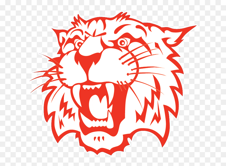 School Logo - Whitko Wildcat, HD Png Download - wildcat png