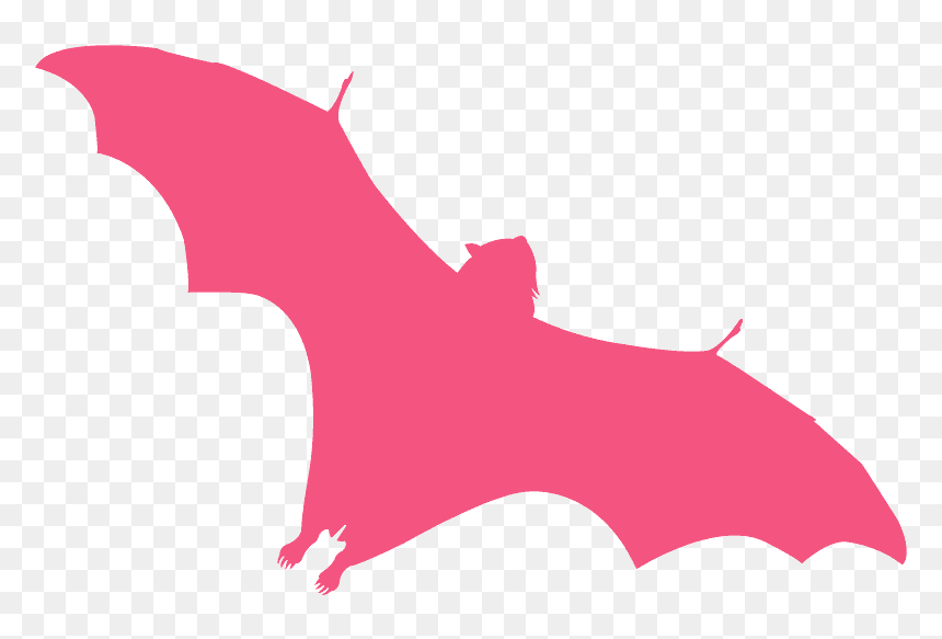 Cartoon, HD Png Download - fox silhouette png