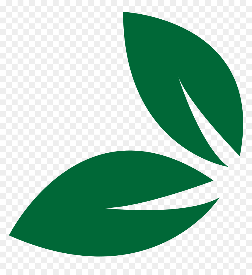 Leaf , Png Download, Transparent Png - hoja png