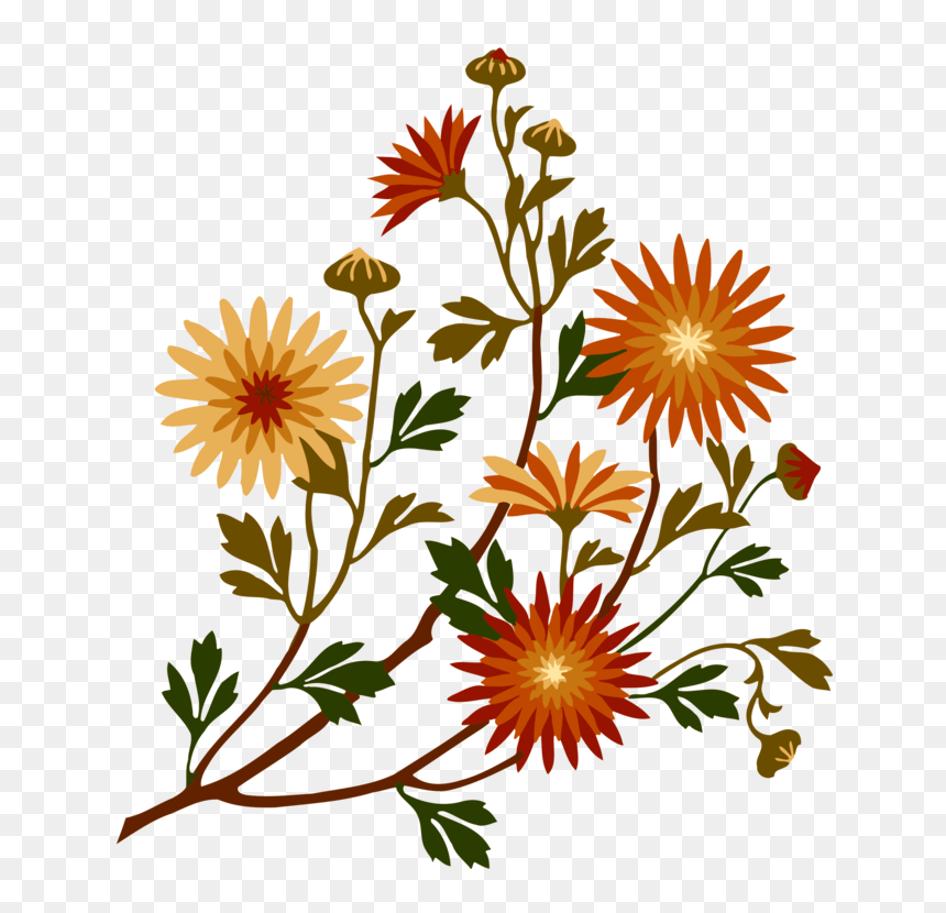 Chrysanths,plant,flower - New Visiting Card Design Png, Transparent Png - daisy flower png