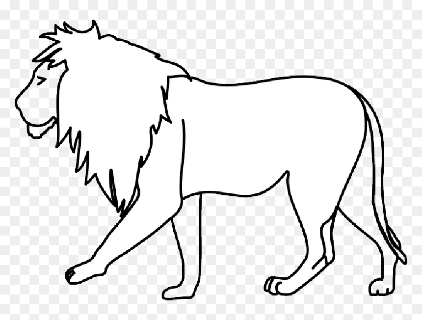 Lion, Big Five, Wildcat, Maneater, Africa, King, Mane - Walking Lion, HD Png Download - wildcat png