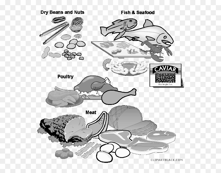 Fish Food Clipartblack Com Animal Free Black - Meat Poultry Fish Eggs Beans And Nuts, HD Png Download - food pyramid png