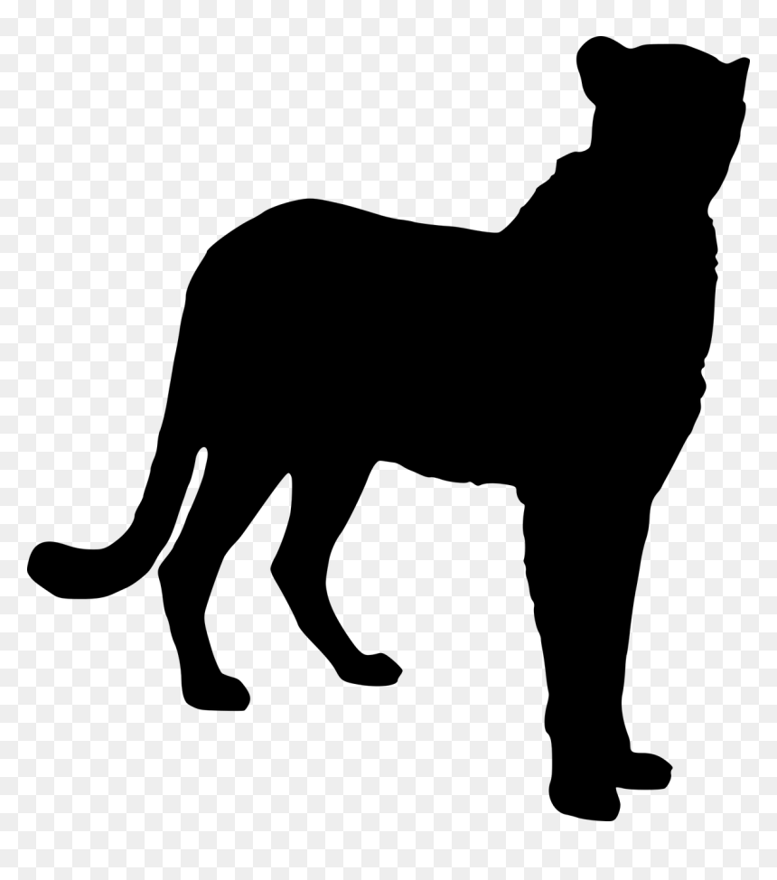 Montgomery Elementary San Antonio, HD Png Download - tiger silhouette png