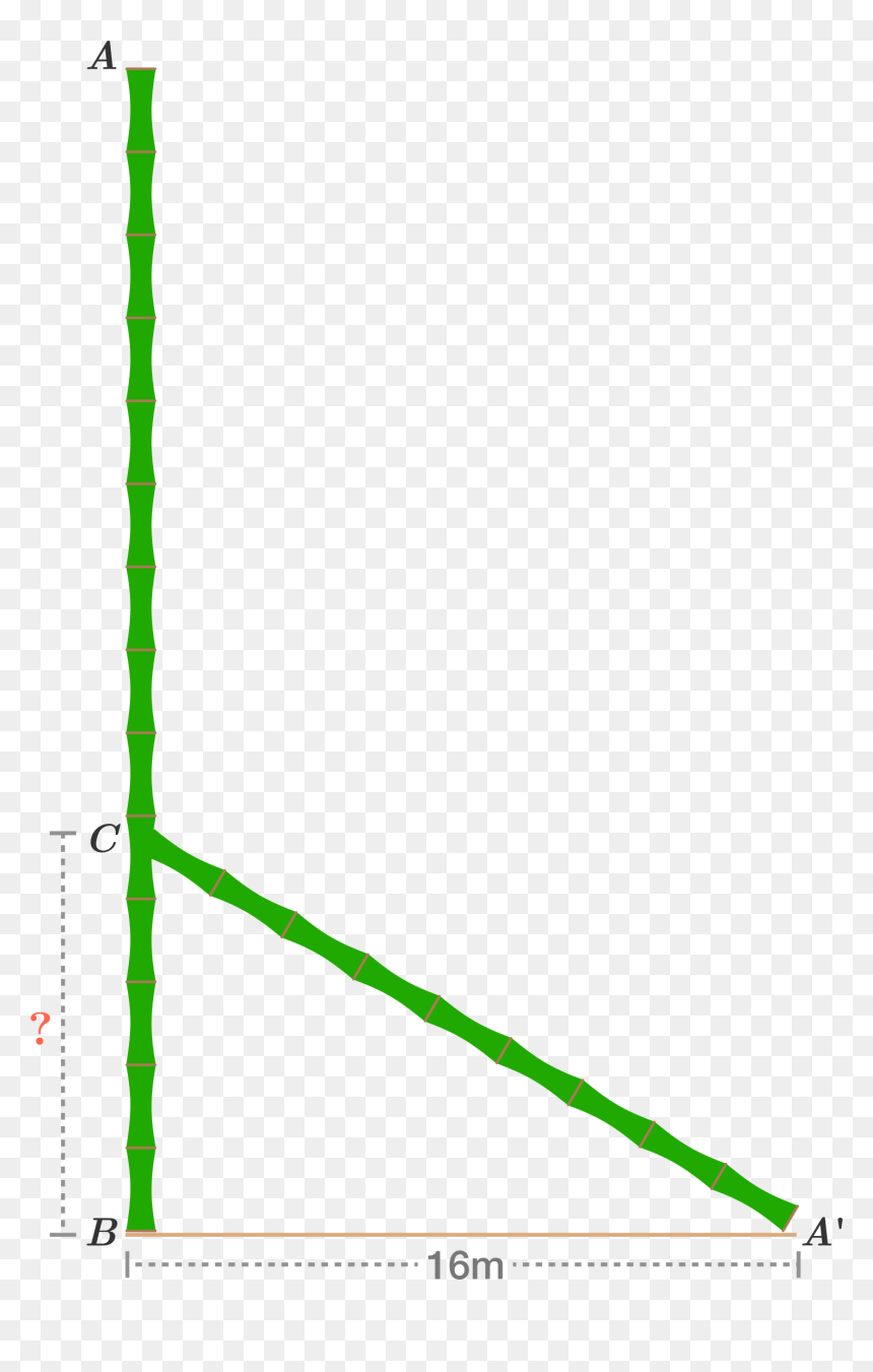 Bamboo Stick Was Broken By The Wind, Such That The - Pythagoras Bamboo, HD Png Download - bamboo stick png