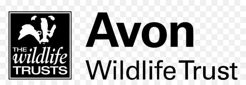 Home - Avon Wildlife Trust Logo, HD Png Download - avon logo png