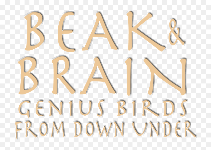 Beak & Brain - Calligraphy, HD Png Download - beak png