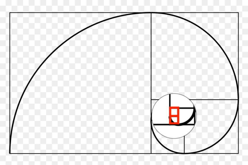 Golden Ratio - Cute Bird Clip Art, HD Png Download - fibonacci spiral png