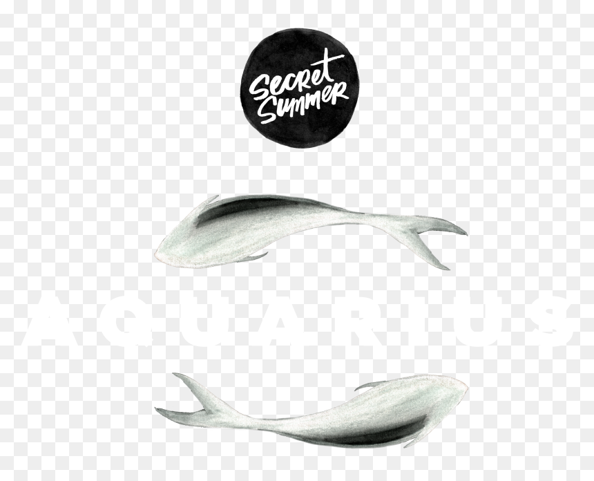 Sustainable Seafood , Png Download - Grey Whale, Transparent Png - aquarius png