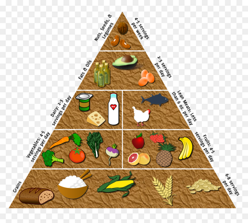 Hold An Event Where You Build The Food Pyramid With - Christmas Tree, HD Png Download - food pyramid png
