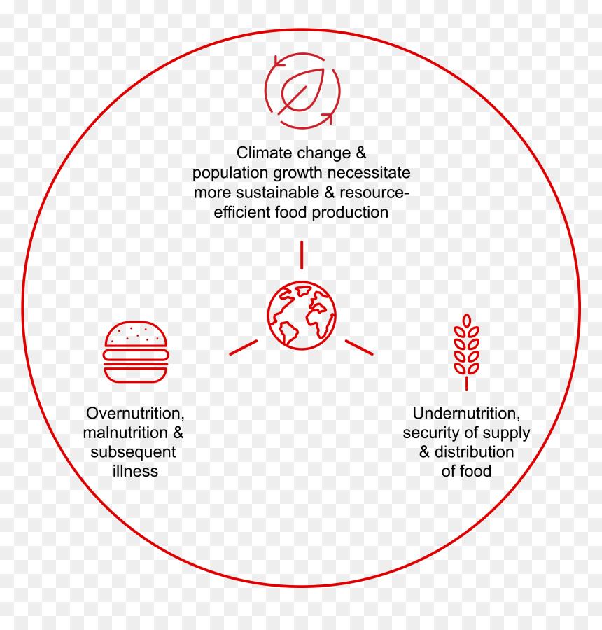 Food Nation Icon Sustainability - Circle, HD Png Download - population icon png