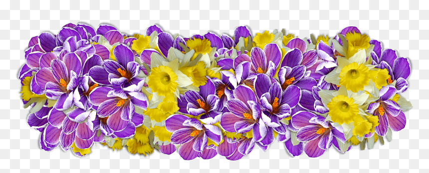 Daffodil Presentation Clip Arts - Linea Flores Png, Transparent Png - presentation png