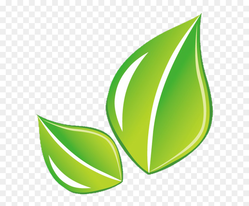 #leaf #hoja #green #png, Transparent Png - hoja png