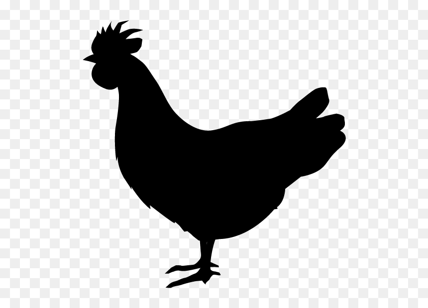 Chicken Silhouette Png - Crazy Chicken Lady Svg, Transparent Png - chicken silhouette png