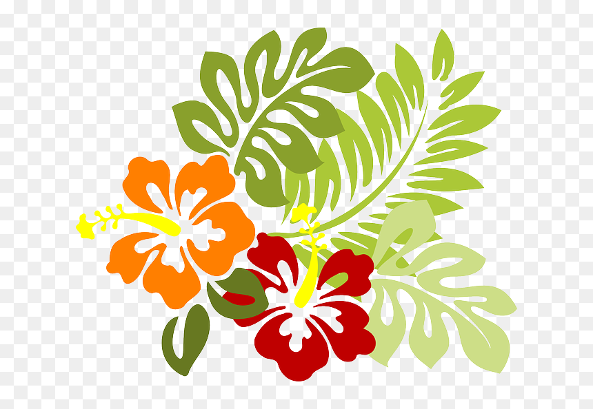 Vectores De Hojas Tropicales - Hibiscus Clip Art, HD Png Download - hoja png