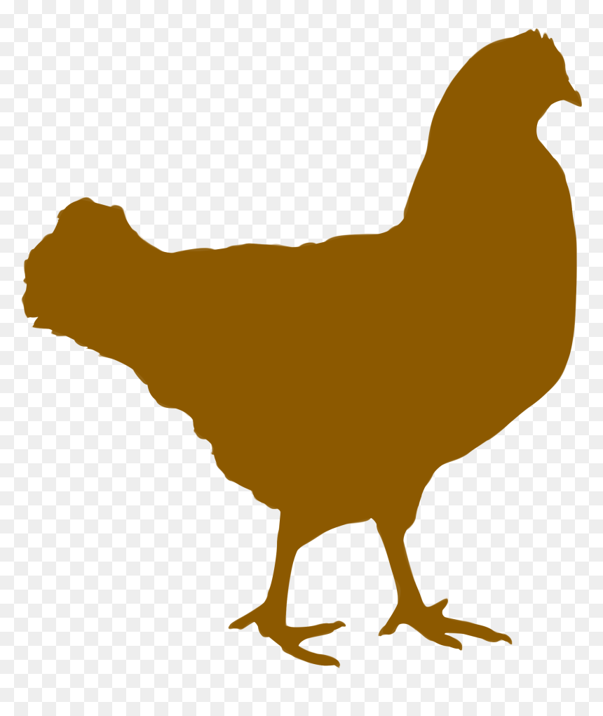 Silhouette Animaux 07 Clip Arts - Hen Shadow, HD Png Download - chicken silhouette png