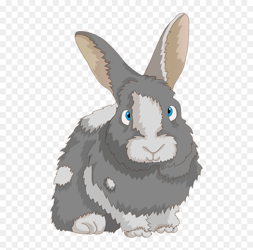 Rabbit Clipart - Królik Png, Transparent Png - rabbit clipart png