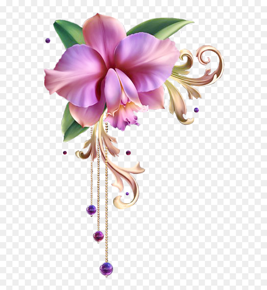 Orchid Flower Frame Png, Transparent Png - flower sketch png